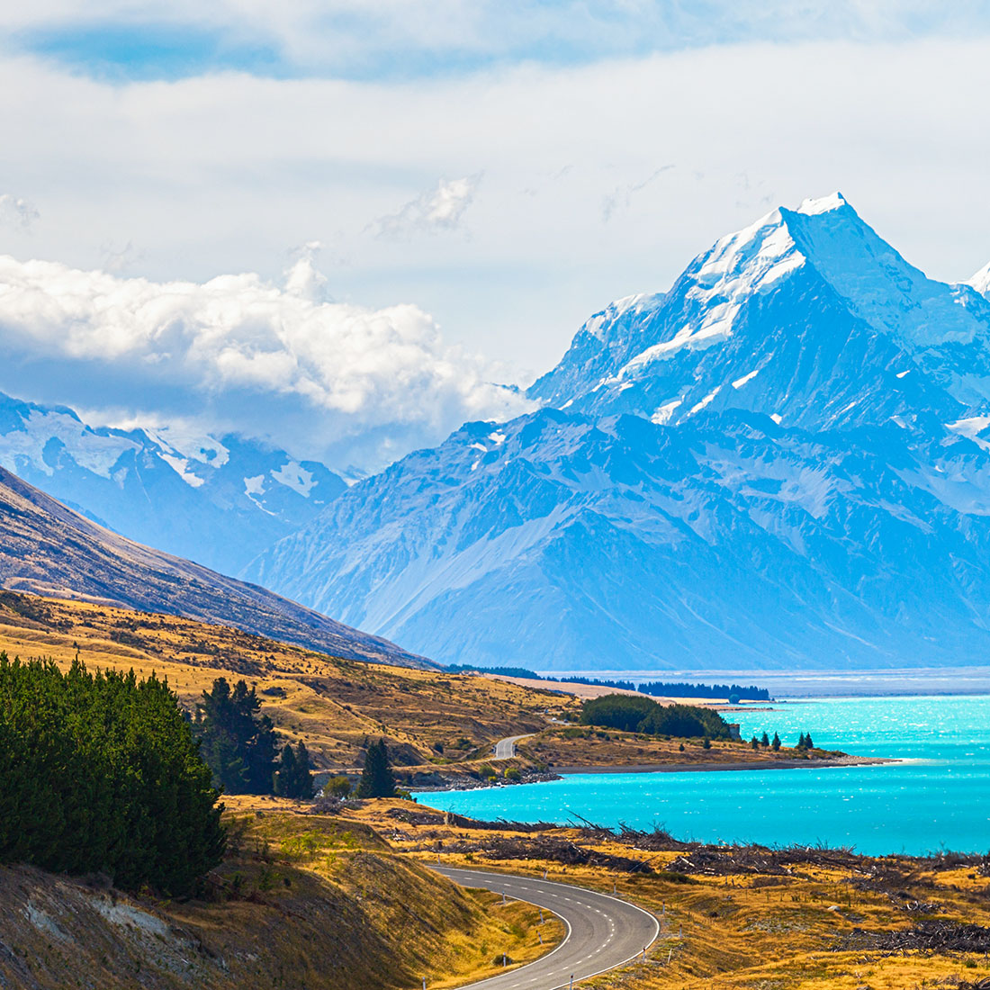 New-zealand